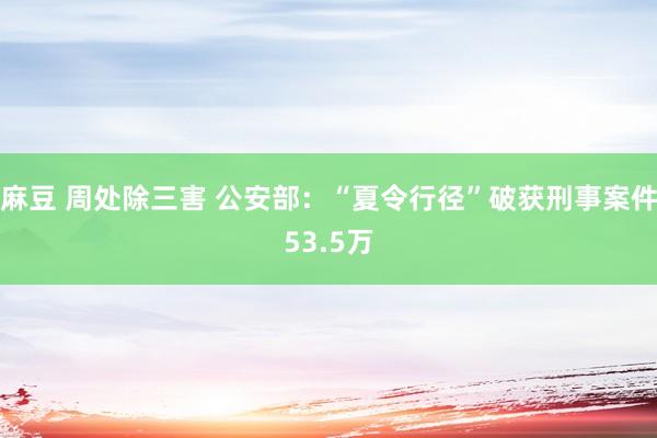 麻豆 周处除三害 公安部：“夏令行径”破获刑事案件53.5万