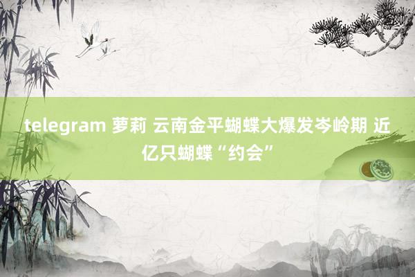 telegram 萝莉 云南金平蝴蝶大爆发岑岭期 近亿只蝴蝶“约会”