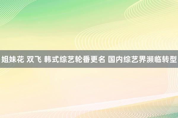 姐妹花 双飞 韩式综艺轮番更名 国内综艺界濒临转型