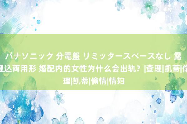 パナソニック 分電盤 リミッタースペースなし 露出・半埋込両用形 婚配内的女性为什么会出轨？|查理|凯蒂|偷情|情妇