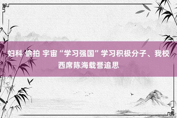 妇科 偷拍 宇宙“学习强国”学习积极分子、我校西席陈海载誉追思